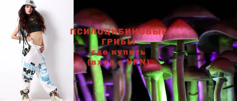 Псилоцибиновые грибы Psilocybe  что такое наркотик  Карпинск 